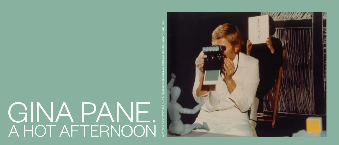 Gina Pane, Hot Afternoon